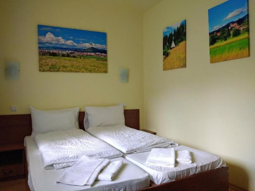 Отели типа «постель и завтрак» Fenyő Villa Bradul Бэиле-Тушнад-24