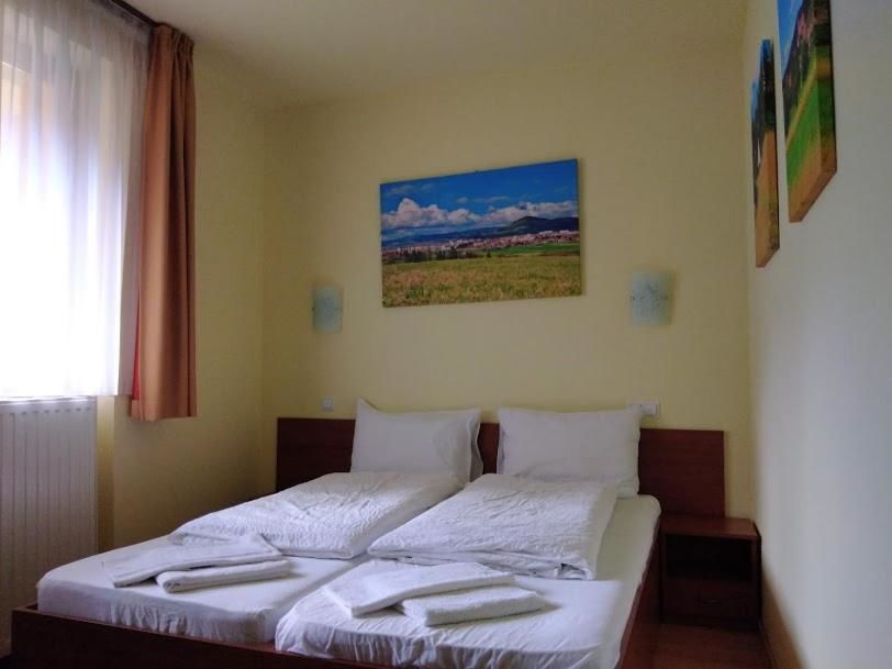 Отели типа «постель и завтрак» Fenyő Villa Bradul Бэиле-Тушнад-25