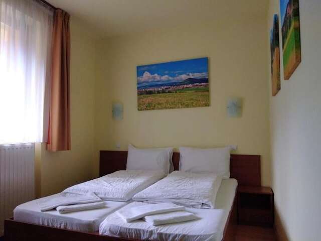 Отели типа «постель и завтрак» Fenyő Villa Bradul Бэиле-Тушнад-24